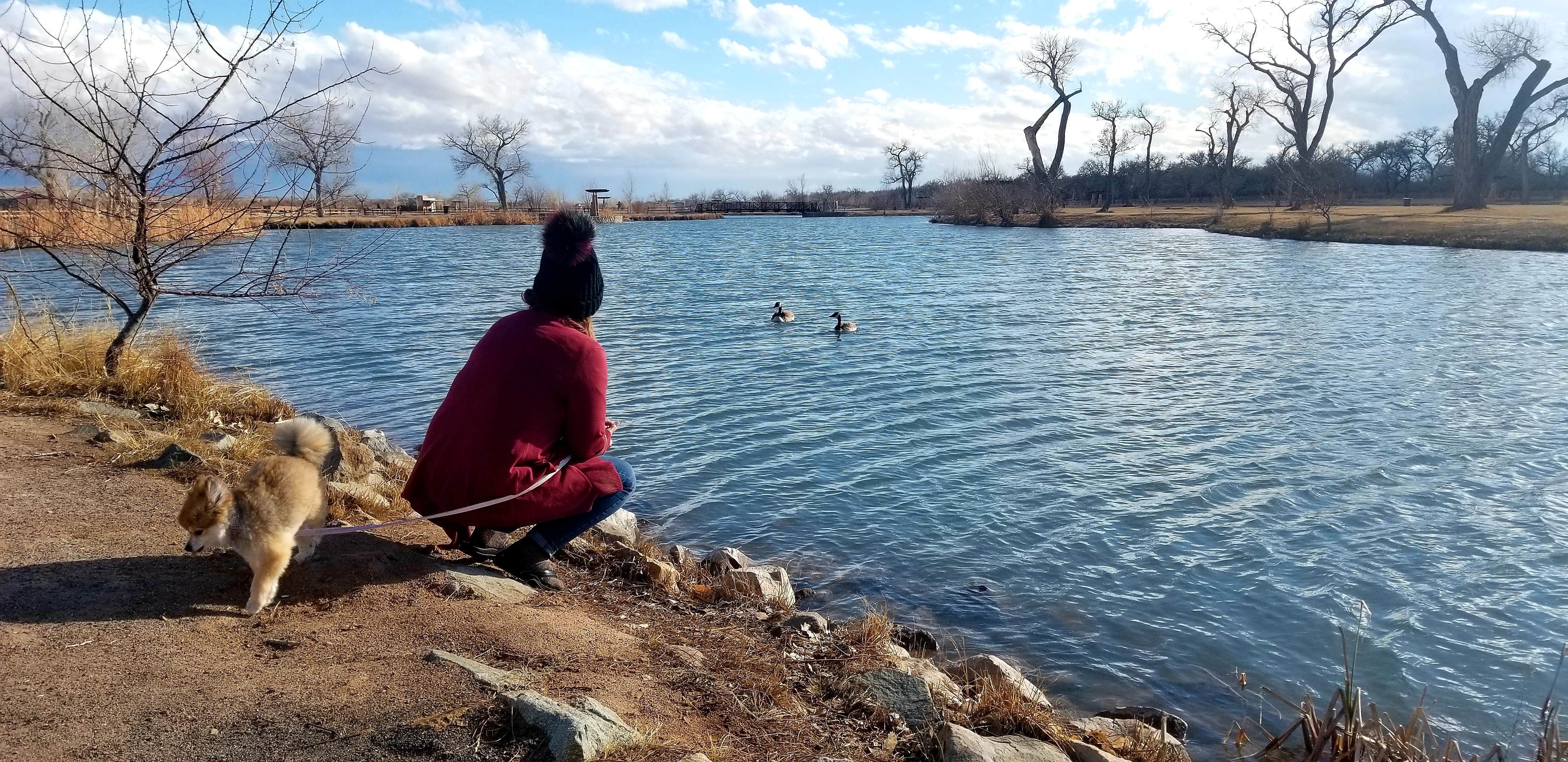 Camper submitted image from Isleta Lakes & RV Park - 4