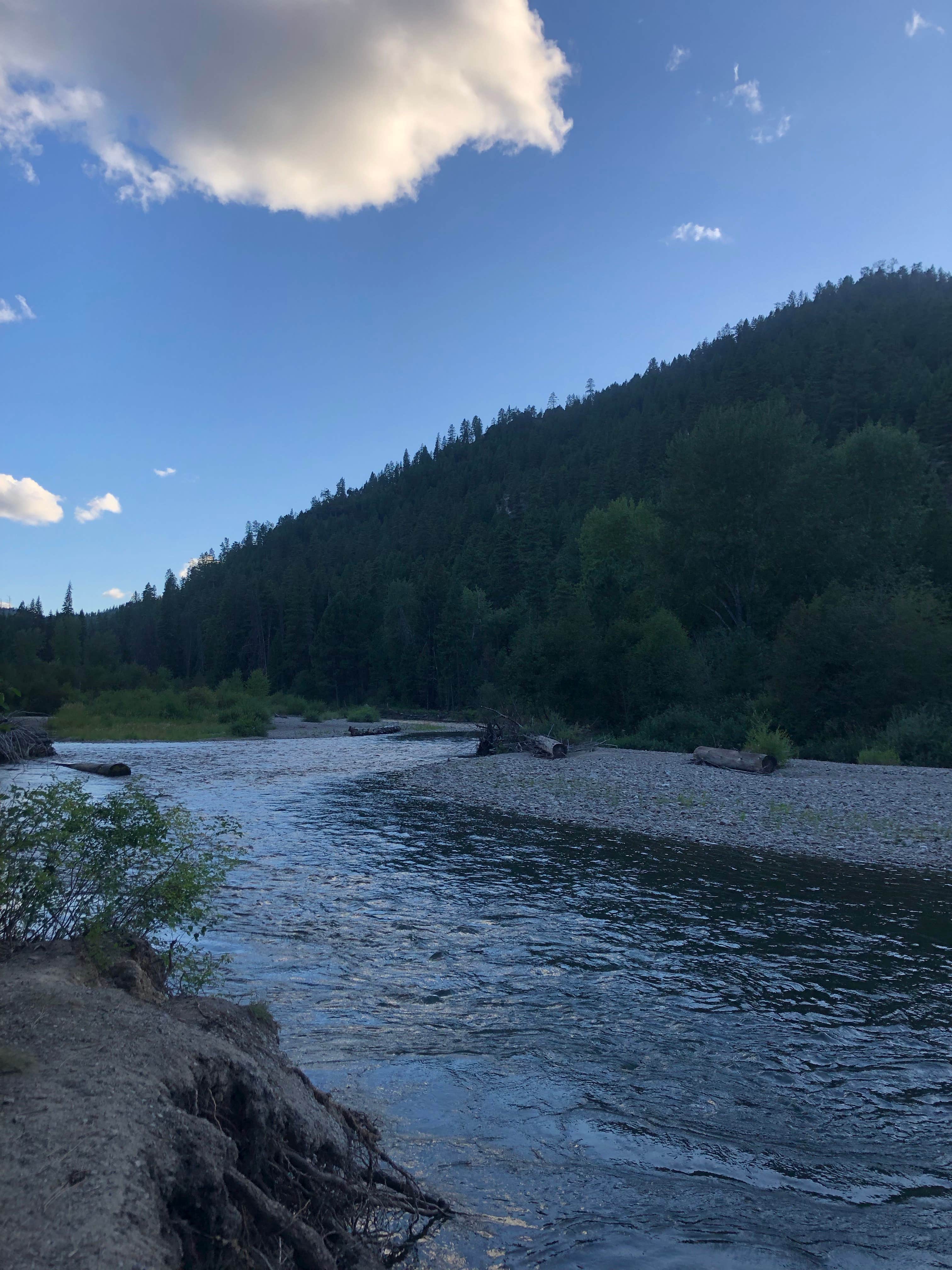 Camper-submitted photo at Rombo Campground near Gibbonsville, ID