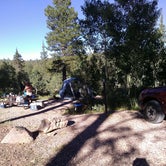Review photo of DeMotte National Forest Campground by Suzi F., August 26, 2019