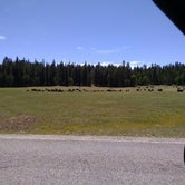 Review photo of DeMotte Campground by Suzi F., August 26, 2019