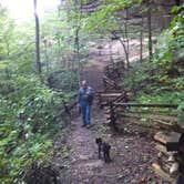 Review photo of Middle Fork Campground — Natural Bridge State Resort Park by Shelly S., September 24, 2016