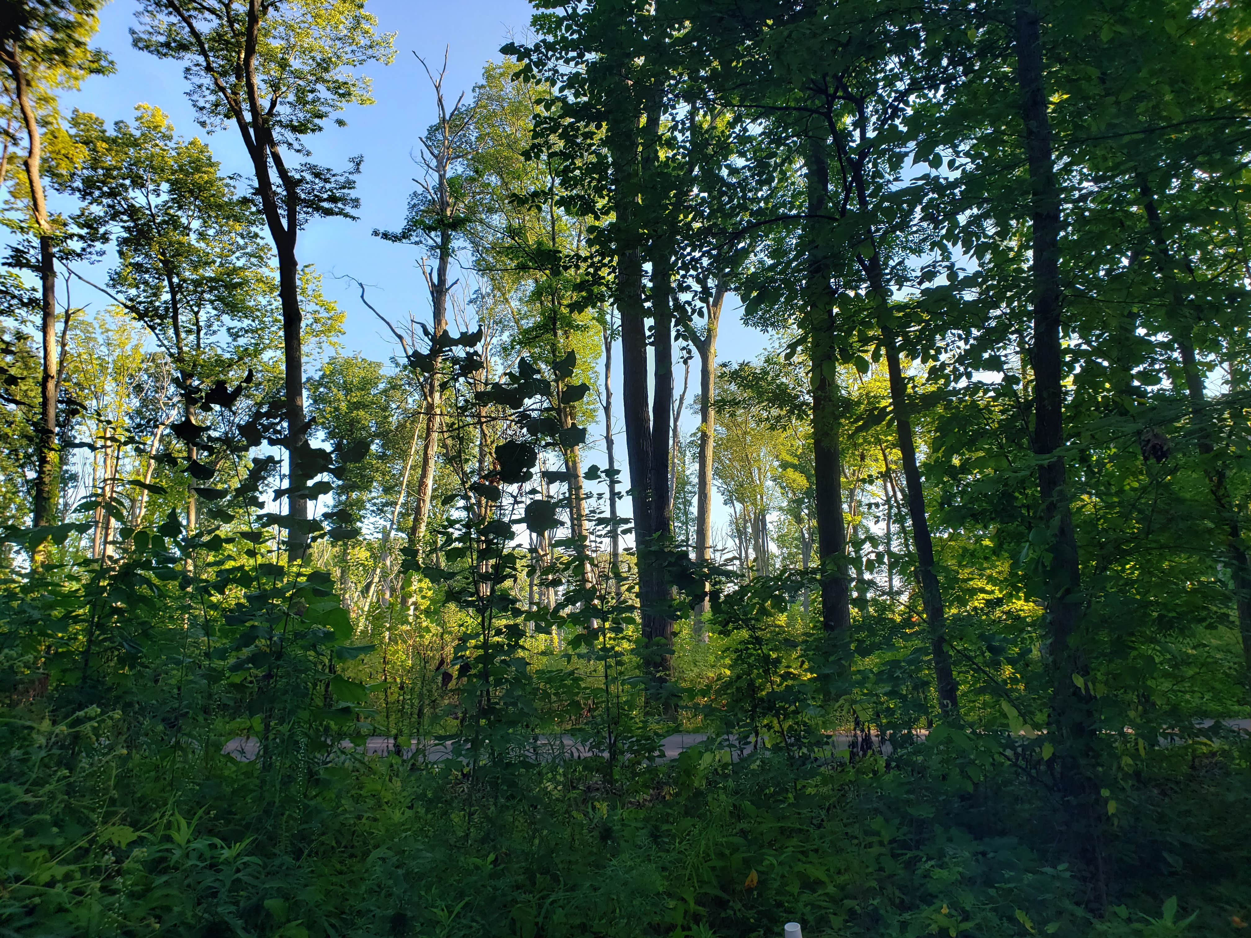 Camper-submitted photo at Kilsoquah Camp near Huntington, IN