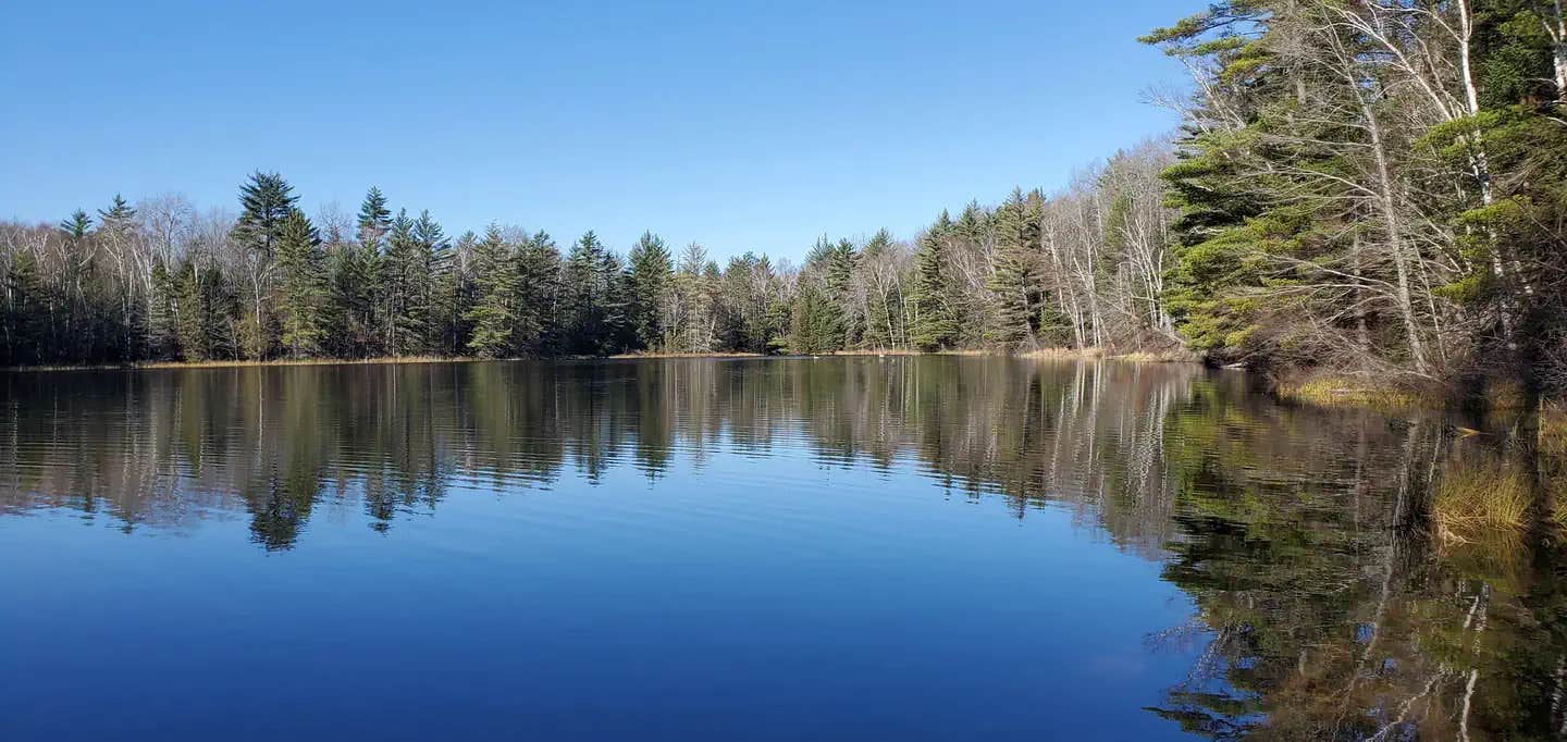 Camper submitted image from Widewaters Campground - 1