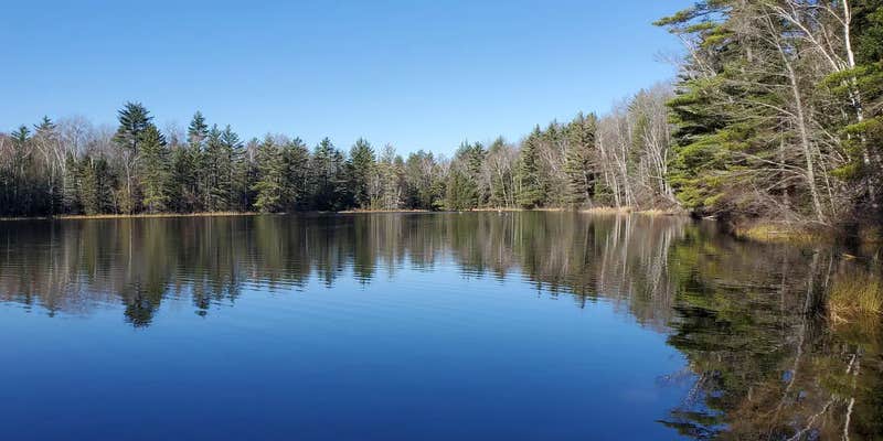 Camper submitted image from Widewaters Campground