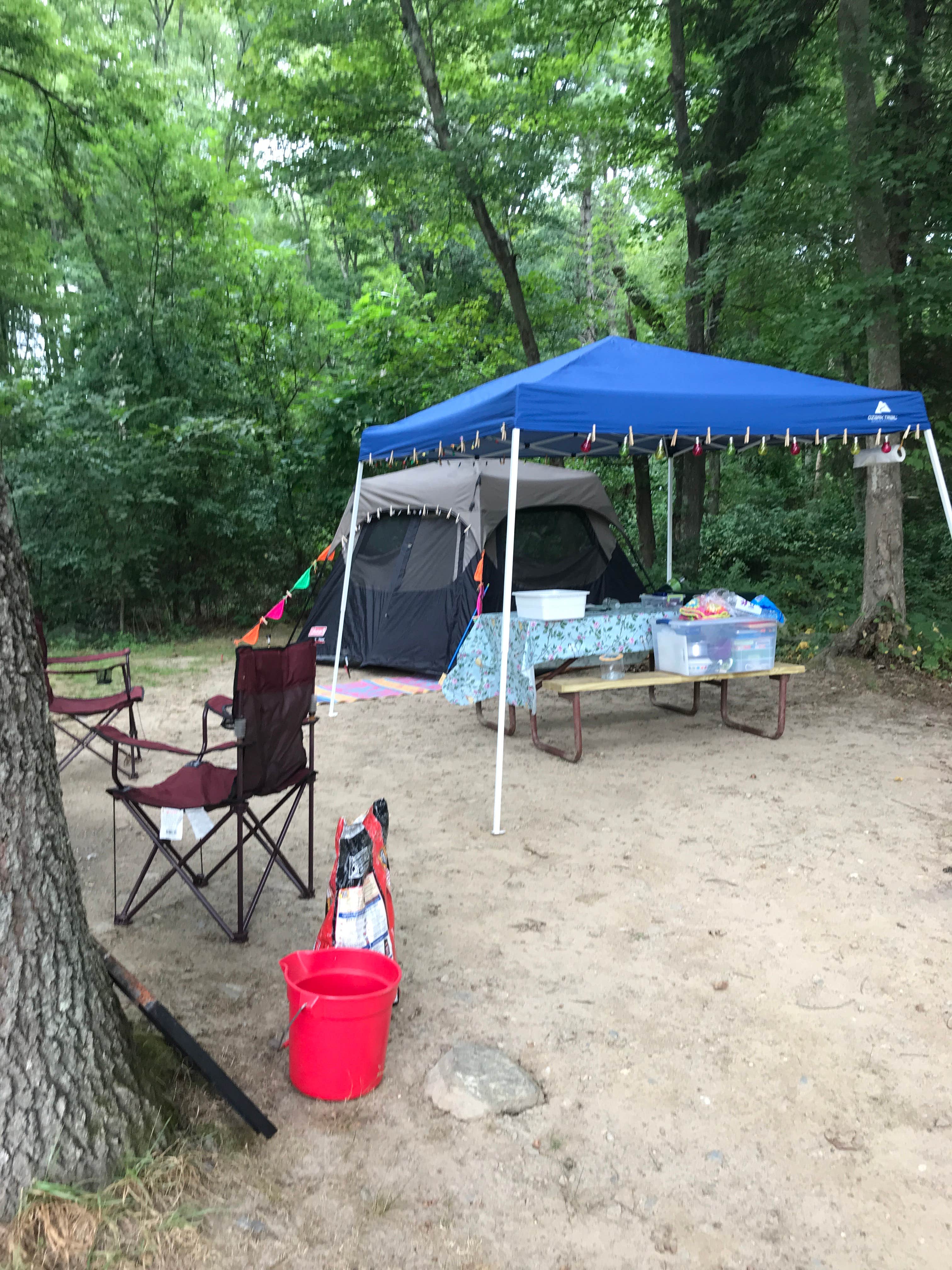 Camper submitted image from Boston/Cape Cod KOA - 4