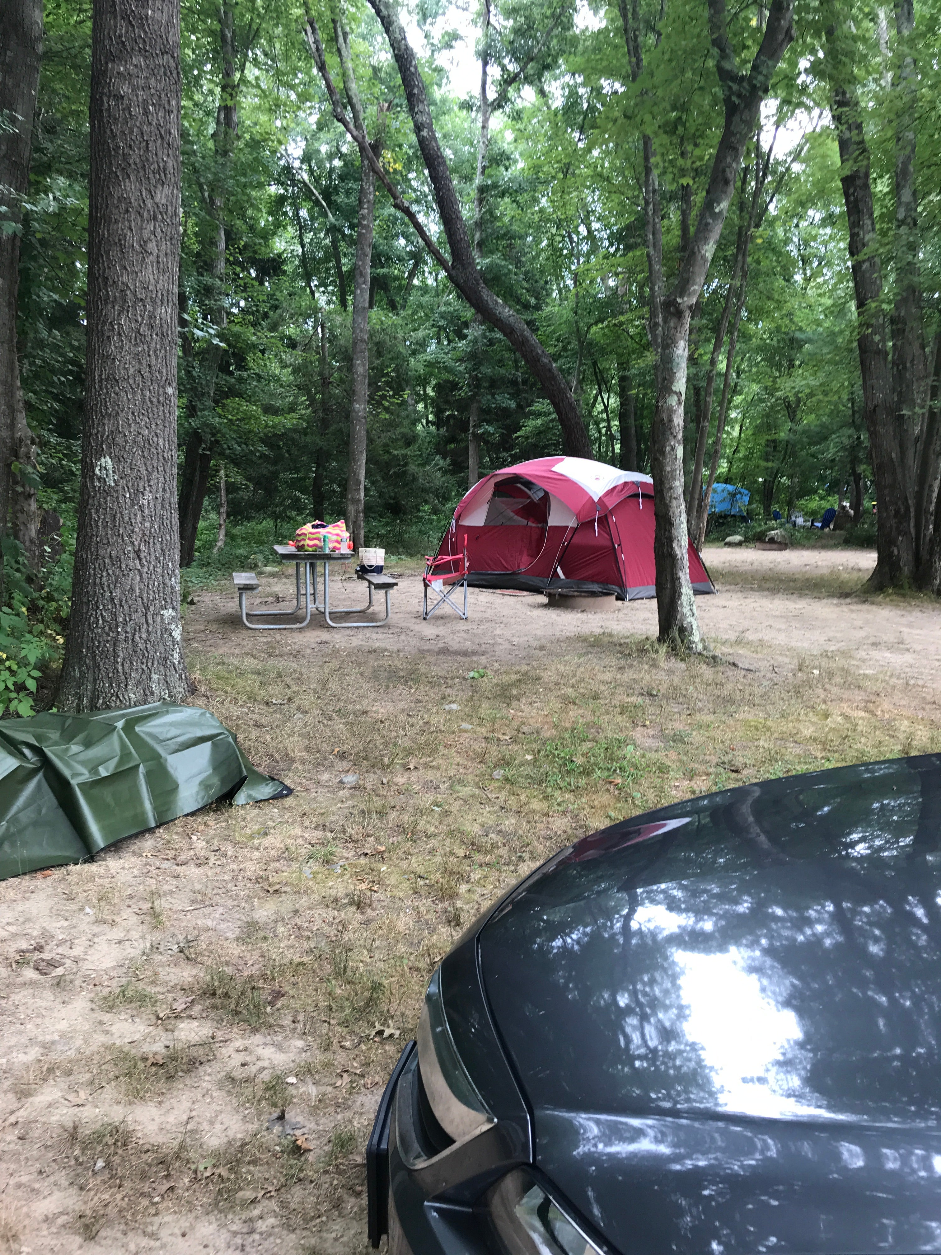 Camper submitted image from Boston / Cape Cod KOA (Middleboro) - 5