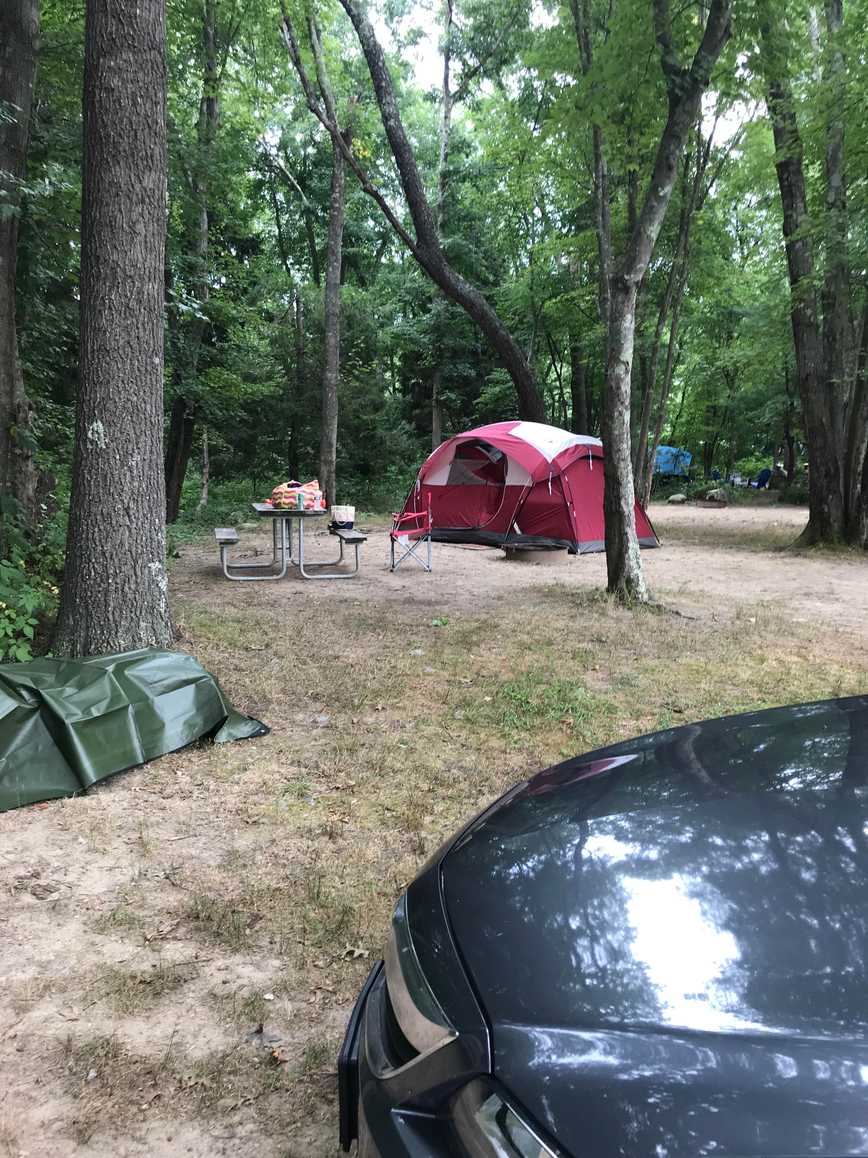 Camper submitted image from Boston/Cape Cod KOA - 5