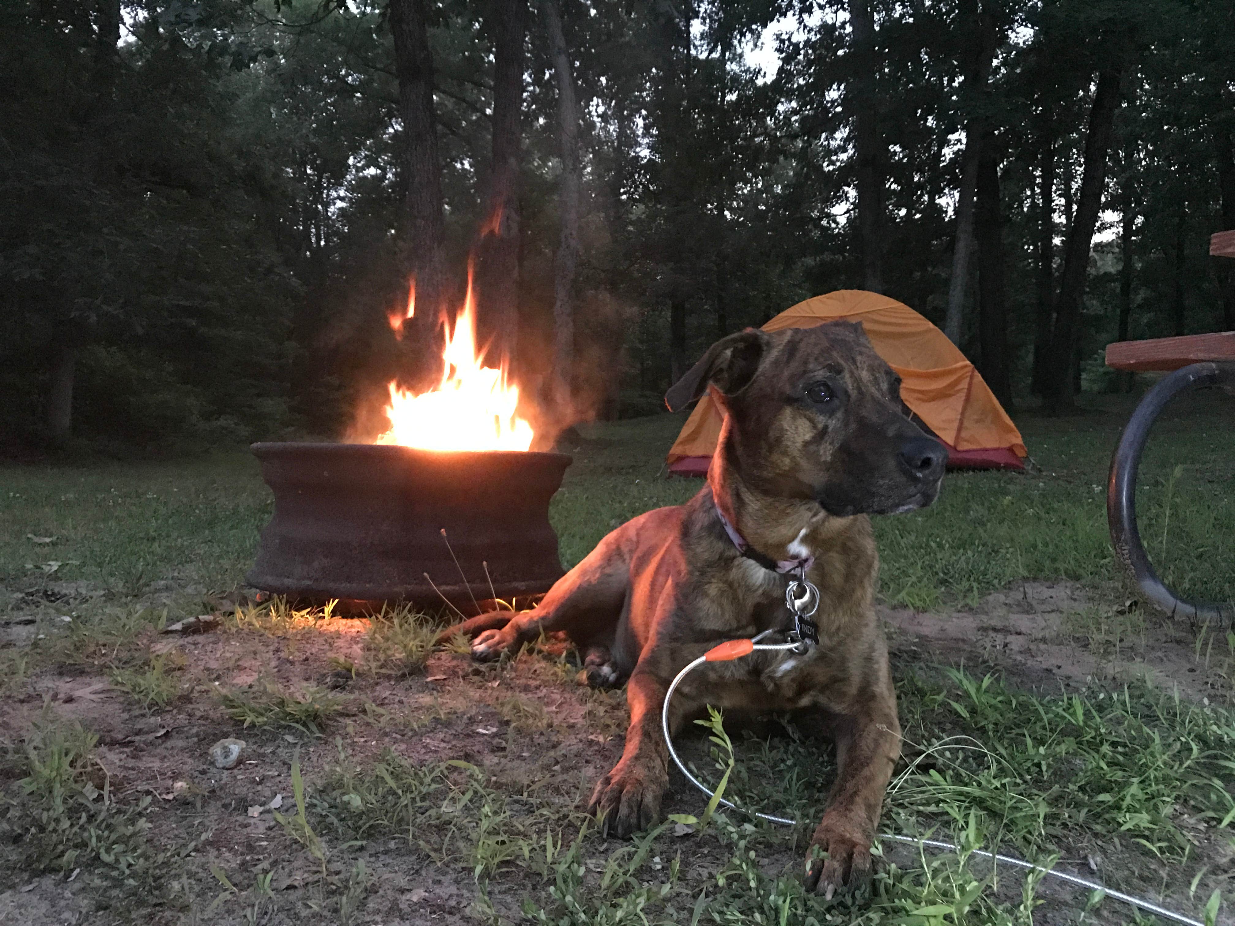 Campsites