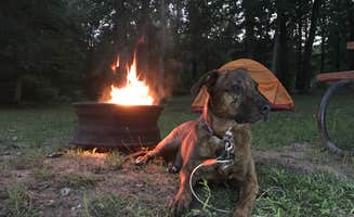 Shelagh R.'s photo at Donna Jo Camping and Recreation Area - PERMANENTLY CLOSED near Lake Village, IN