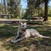 Review photo of Liberty Lake Regional Park by Annika W., August 26, 2019