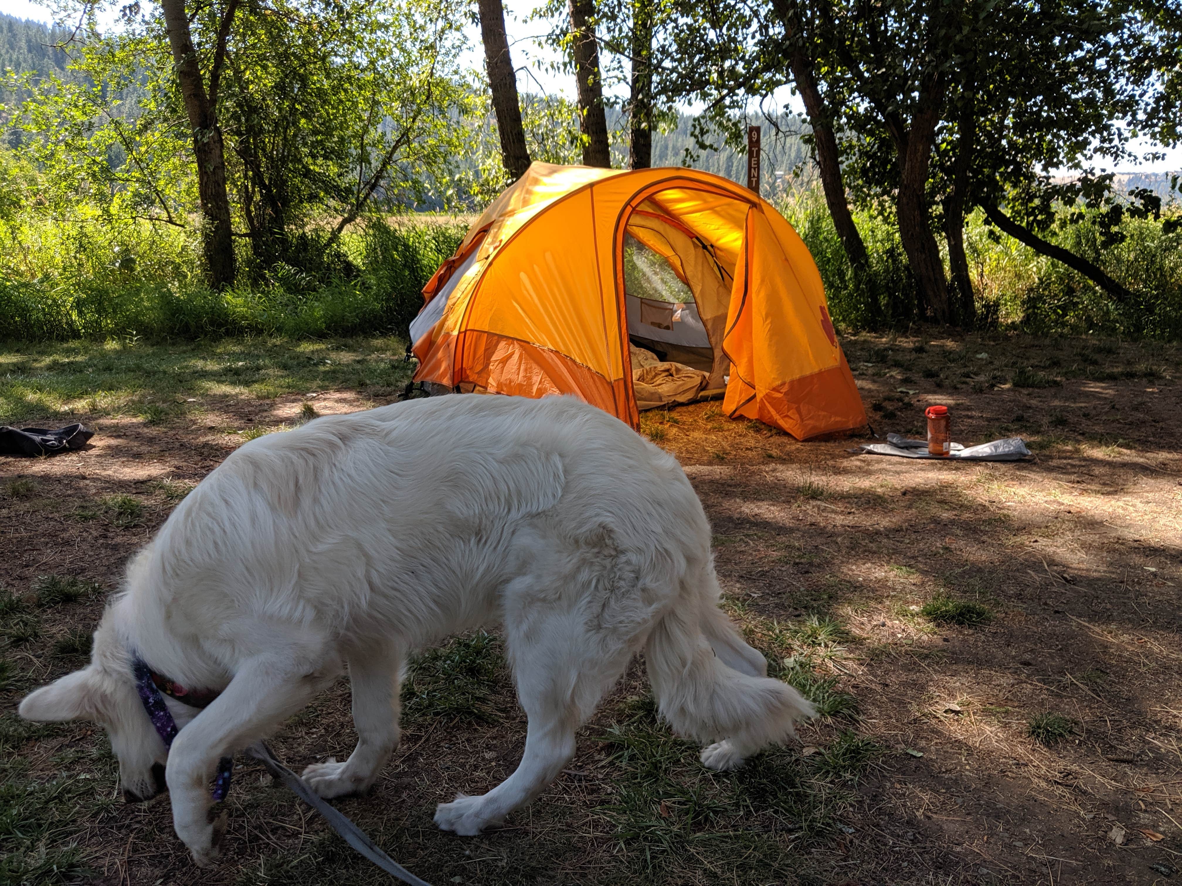 Annika W.'s photo at Liberty Lake Regional Park near Rockford, WA