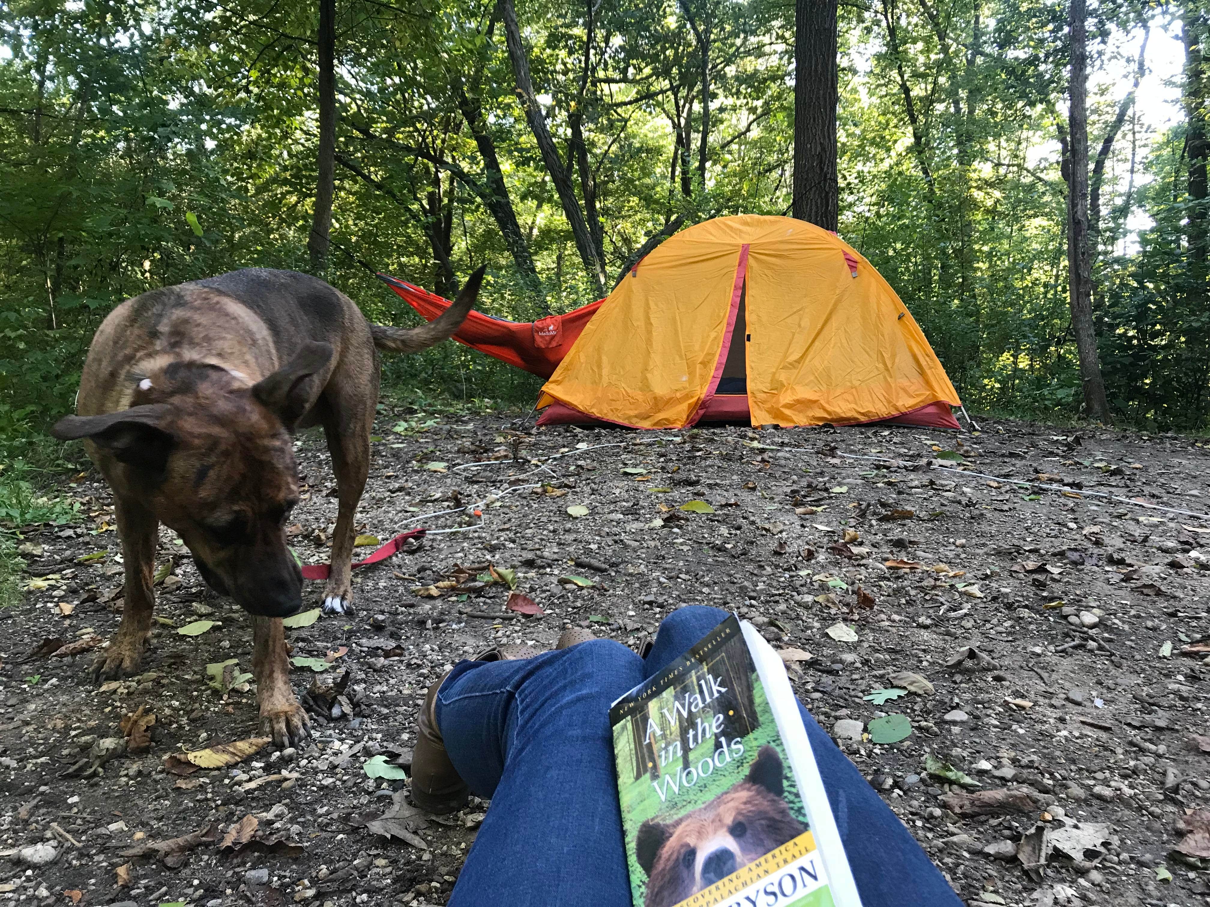 Shelagh R.'s photo of camping with pets at Mauthe Lake Campground — Kettle Moraine State Forest-Northern Unit-Iansr near Milwaukee, WI