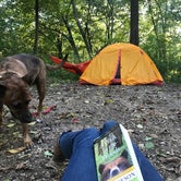 Review photo of Mauthe Lake Campground — Kettle Moraine State Forest-Northern Unit-Iansr by Shelagh R., August 26, 2019