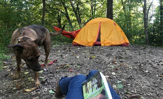 Shelagh R.'s photo of camping with pets at Mauthe Lake Campground — Kettle Moraine State Forest-Northern Unit-Iansr near Belgium, WI