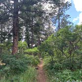 Review photo of Indian Creek Equestrian Campground by mary C., August 26, 2019