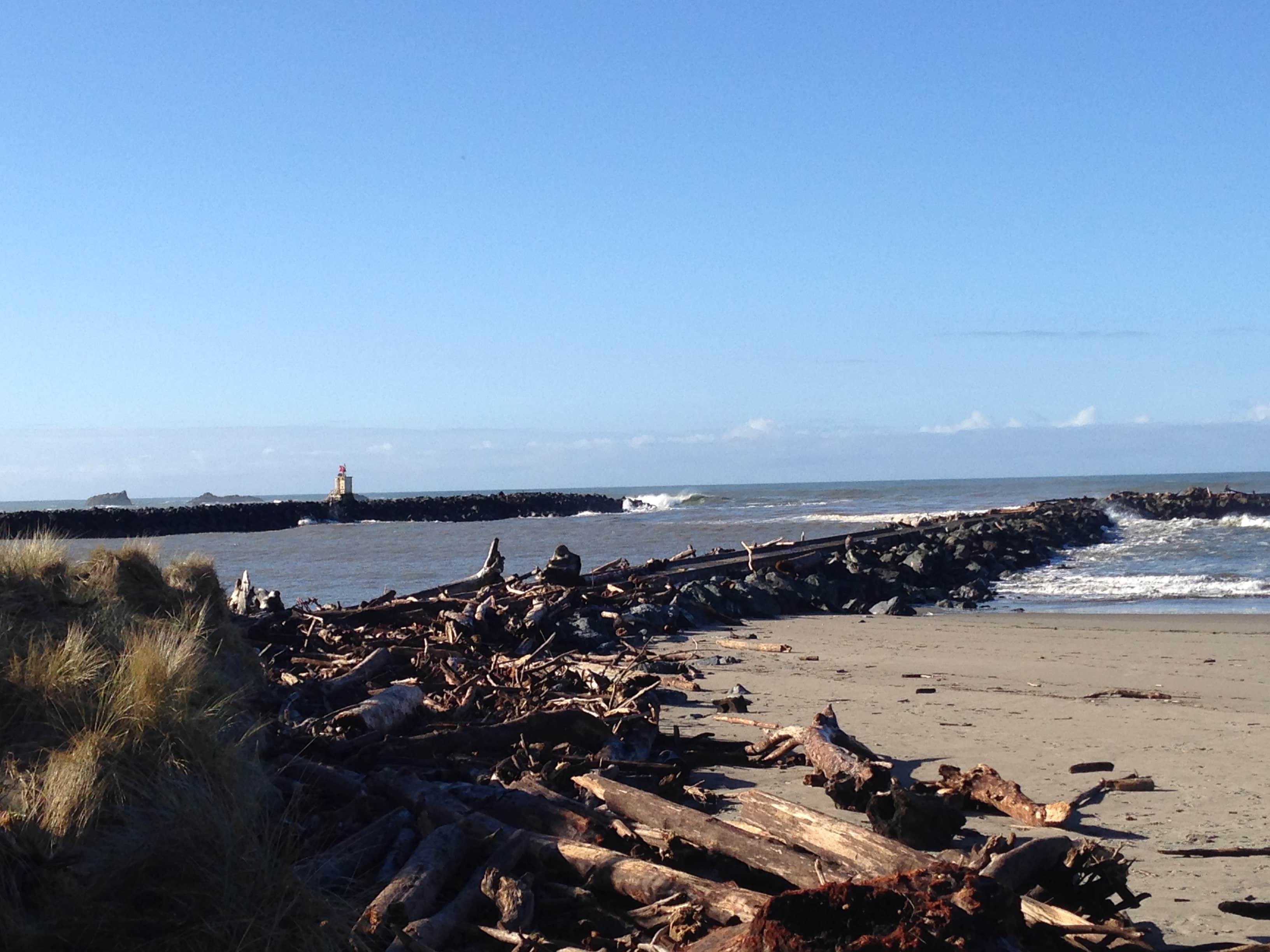 Camper submitted image from Bullards Beach State Park Campground - 2