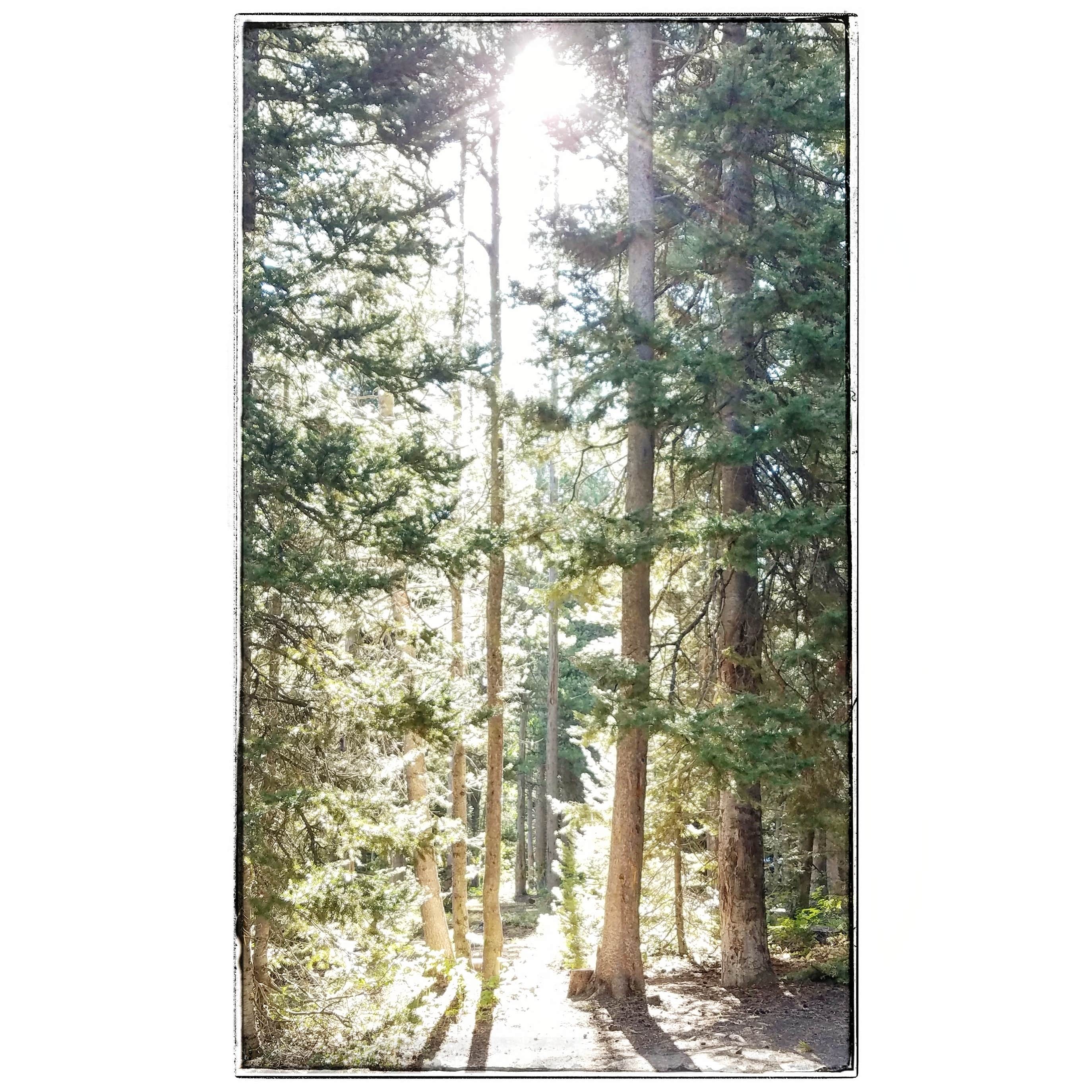 Camper-submitted photo at Sunrise Campground near Cokeville, WY