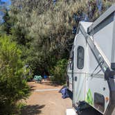 Review photo of Pinnacles Campground — Pinnacles National Park by April H., November 15, 2025