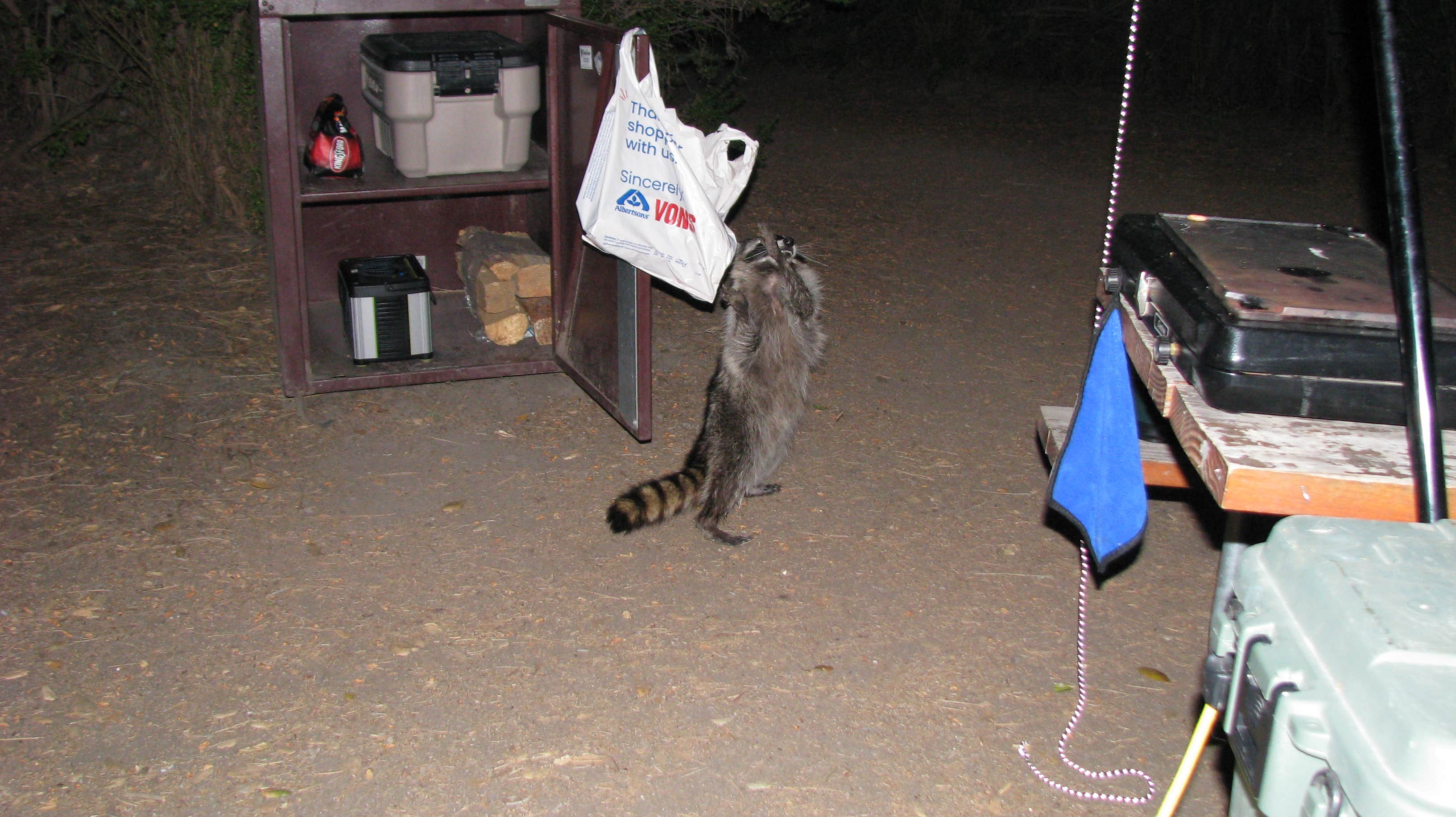April H.'s photo of camping with pets at Pinnacles Campground — Pinnacles National Park near Los Banos, CA