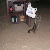 Review photo of Pinnacles Campground — Pinnacles National Park by April H., November 15, 2025