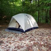 Review photo of Koomer Ridge Campground — Daniel Boone National Forest by Gary W., August 26, 2019