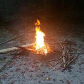 Review photo of Koomer Ridge Campground — Daniel Boone National Forest by Gary W., August 26, 2019