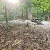 Review photo of Koomer Ridge Campground — Daniel Boone National Forest by Gary W., August 26, 2019