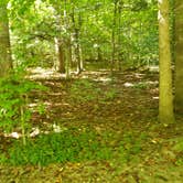 Review photo of Koomer Ridge Campground — Daniel Boone National Forest by Gary W., August 26, 2019