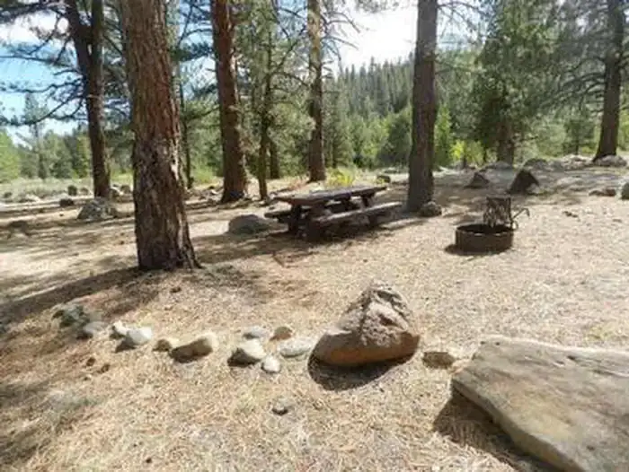 Camper-submitted photo at Upper Little Truckee near Clio, CA