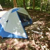 Review photo of Koomer Ridge Campground — Daniel Boone National Forest by Gary W., August 26, 2019