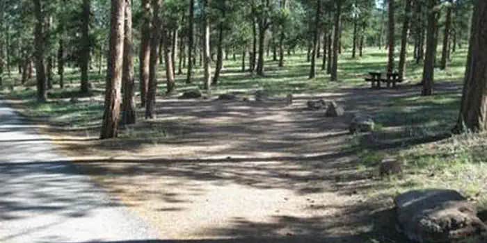 Camper submitted image from Colorado Campground