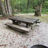 Review photo of Koomer Ridge Campground — Daniel Boone National Forest by Gary W., August 26, 2019