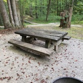 Review photo of Koomer Ridge Campground by Gary W., August 26, 2019