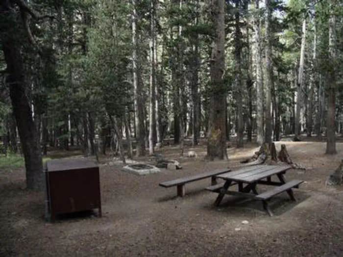 Camper submitted image from Trumbull Lake - 1