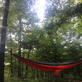 Review photo of Mammoth Cave Campground — Mammoth Cave National Park by Shelagh R., August 26, 2019