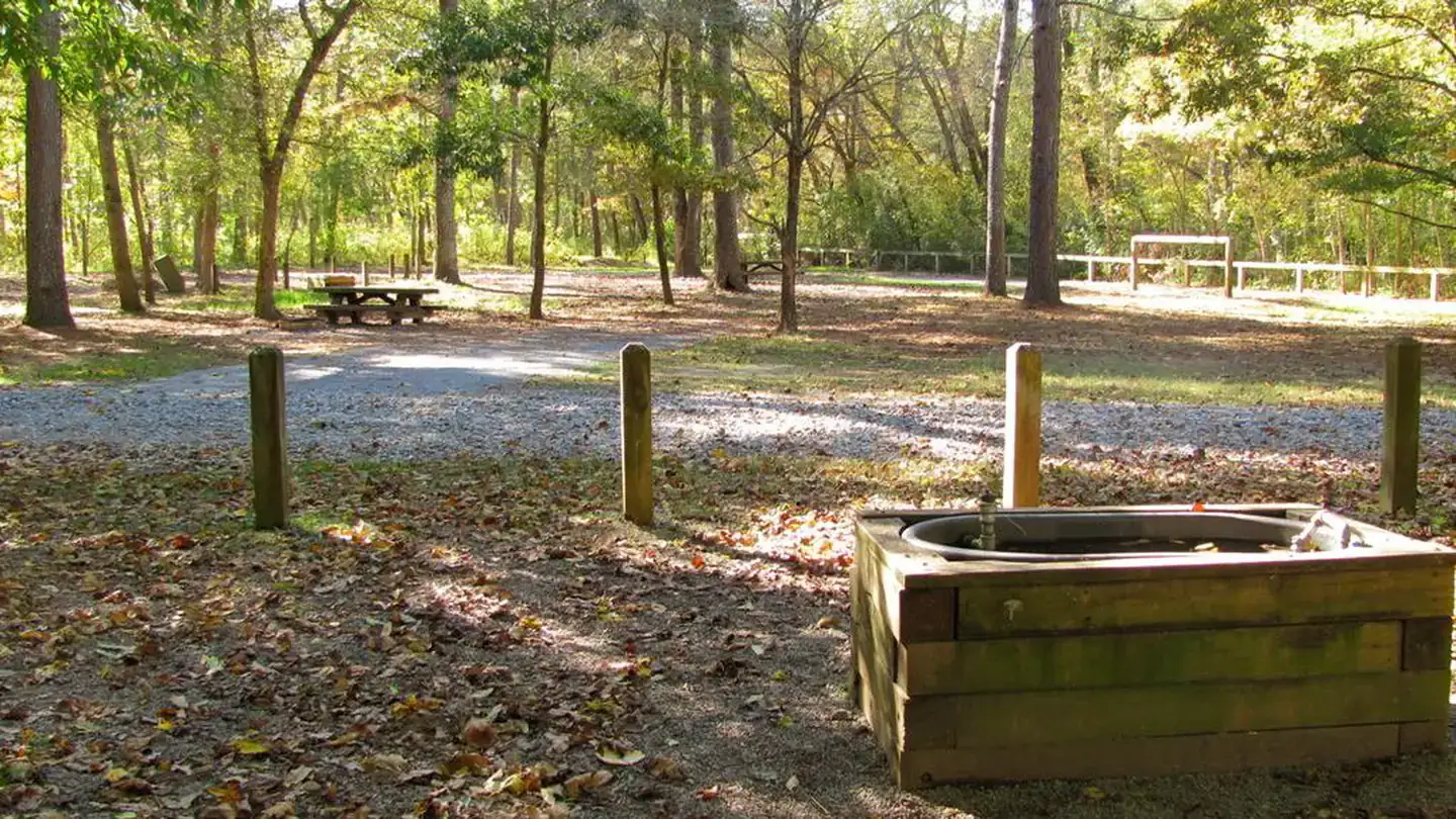 Camper-submitted photo at Cottonwood Patch Campground near Etowah, TN