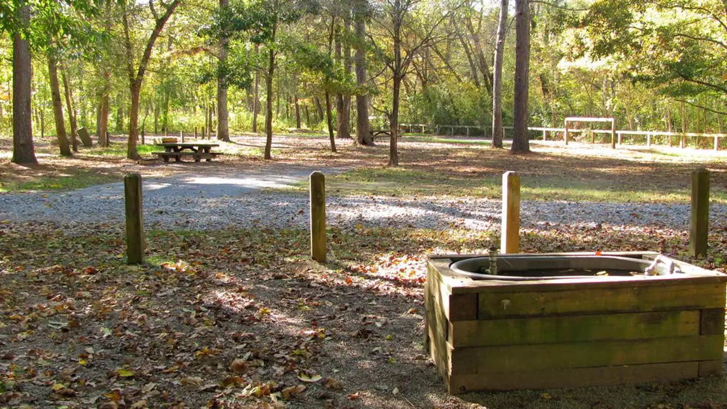 Camper submitted image from Cottonwood Patch Campground - 1