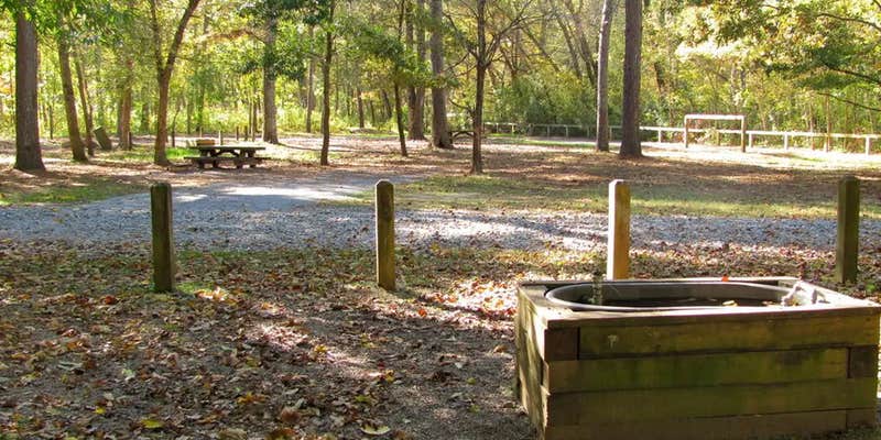 Camper submitted image from Cottonwood Patch Campground