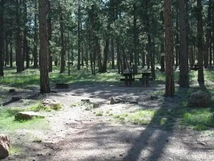 Camper-submitted photo at Colorado Campground near Palmer Lake, CO