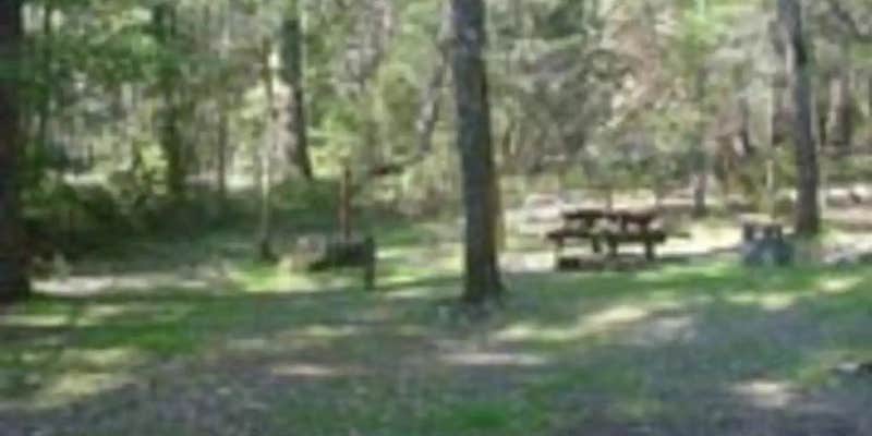 Camper submitted image from Oak Bottom Marina RV & Campground — Whiskeytown-Shasta-Trinity National Recreation Area