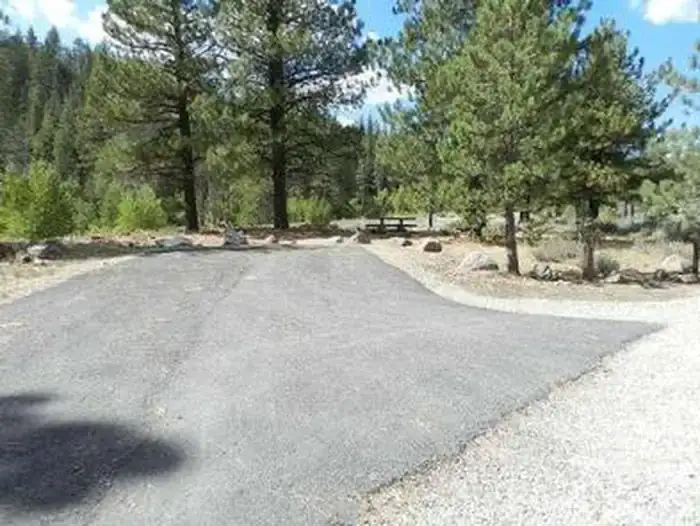 Camper-submitted photo at Upper Little Truckee near Clio, CA