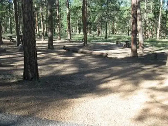Camper-submitted photo at Colorado Campground near Palmer Lake, CO