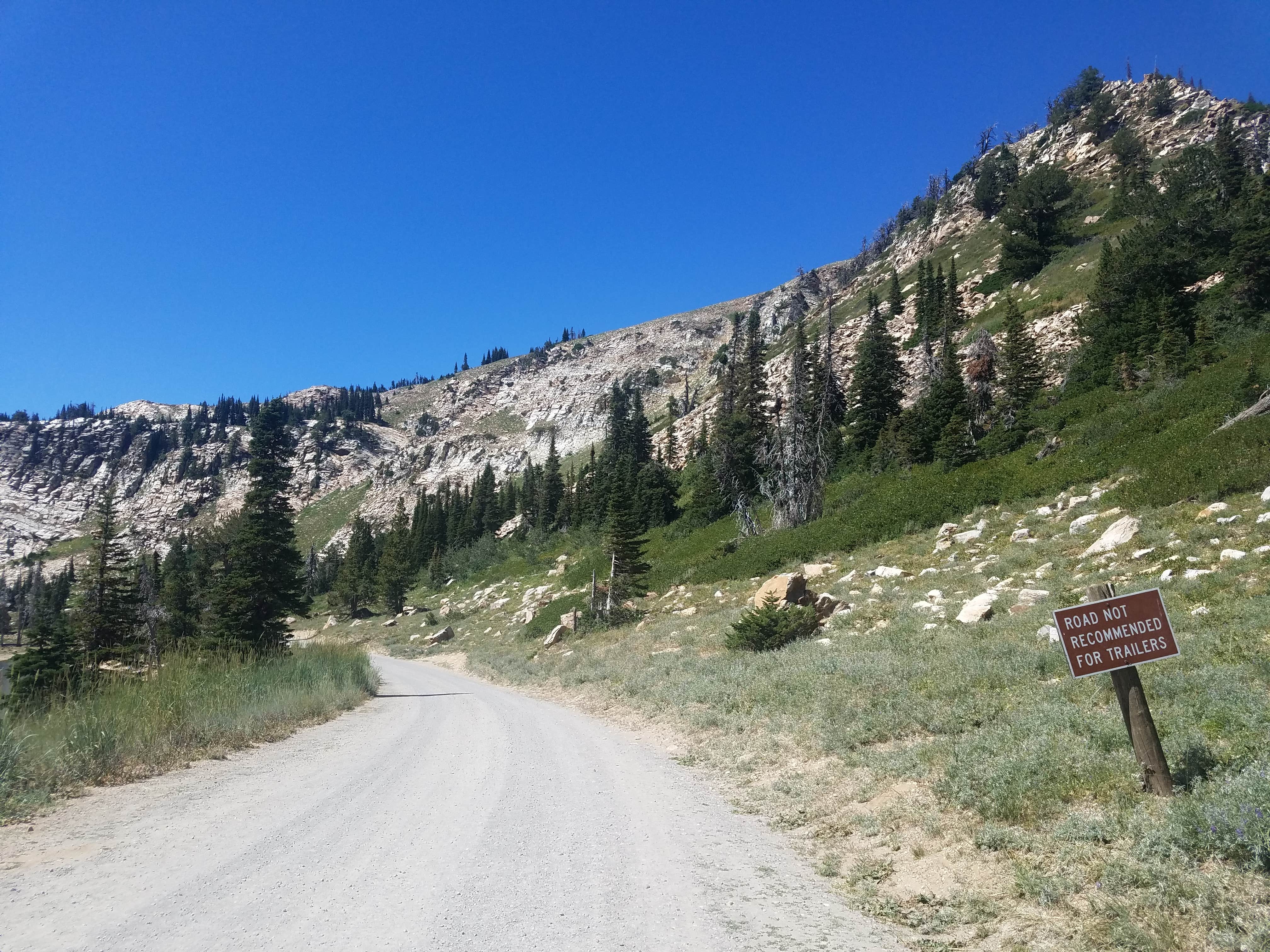 Camper submitted image from Lake Cleveland Campground West Side — Sawtooth National Forest - 4