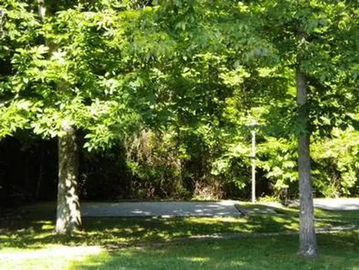 Camper-submitted photo at Craigs Creek Group Area near Stanford, KY