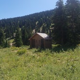Review photo of Lake Cleveland Campground - West Side by Alan B., August 26, 2019