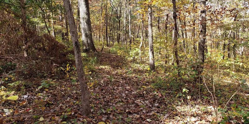 Camper submitted image from Pulltite Campground — Ozark National Scenic Riverway