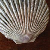 Review photo of Bullards Beach State Park Campground by Tammy H., September 27, 2016