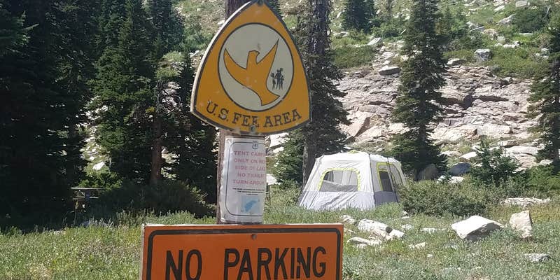 Camper submitted image from Lake Cleveland Campground West Side — Sawtooth National Forest