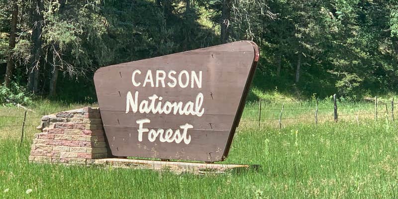 Camper submitted image from Comales Campground