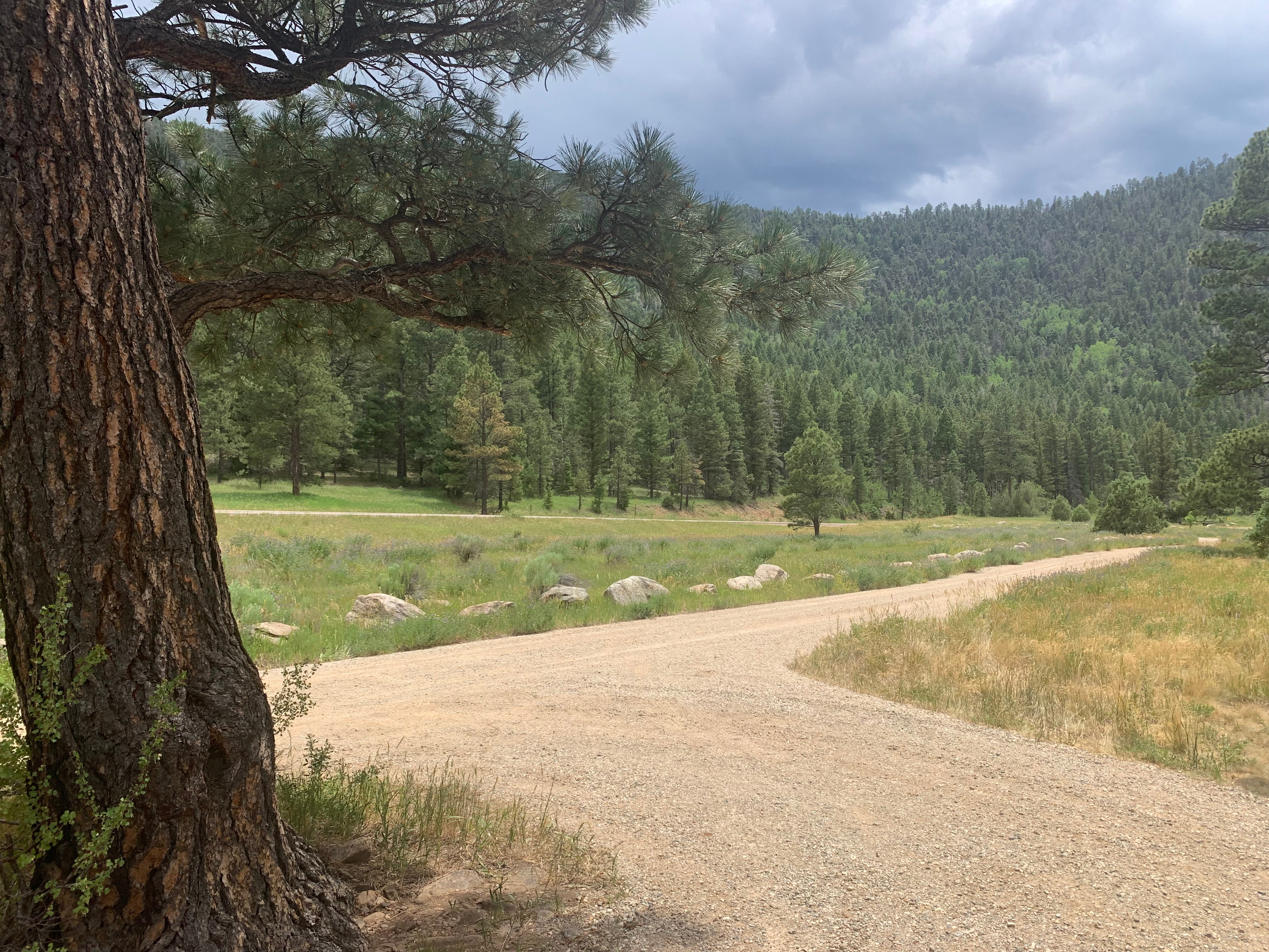 Camper submitted image from Comales Campground - 3